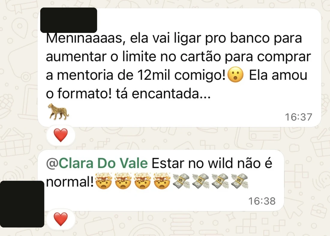 Relato anônimo sobre mentoria e movimento comercial